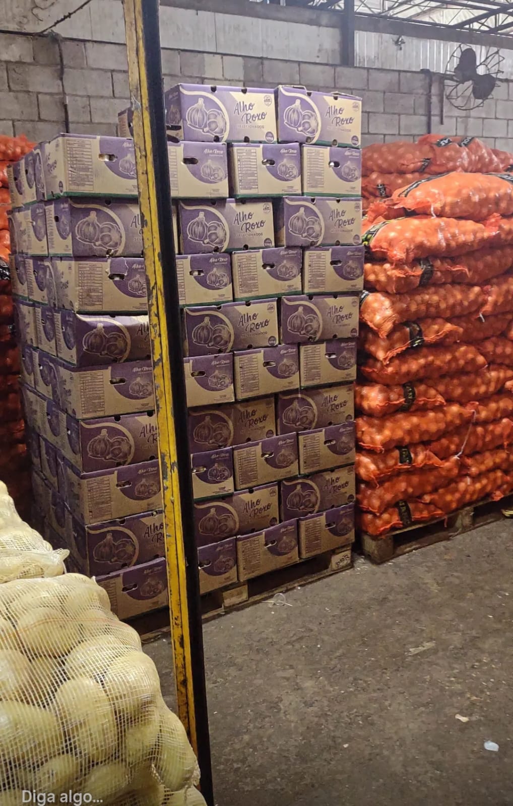 Estoque alho e cebola